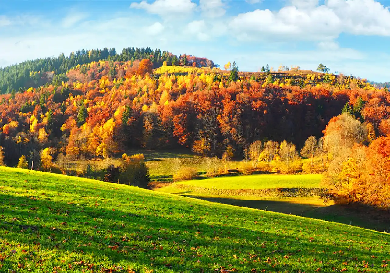 Kurzreise-herbst-schwarzwald