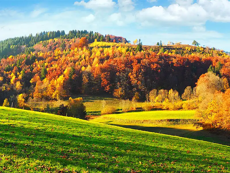 Kurzreise-herbst-schwarzwald