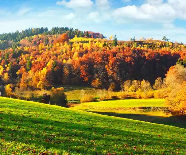 Kurzreise-herbst-schwarzwald