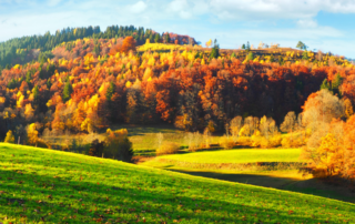 Kurzurlaub im Herbst im Schwarzwald