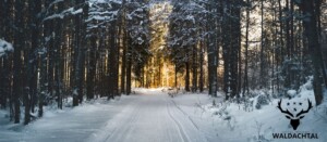 Winter Kurzurlaub im Wellnesshotel Waldachtal