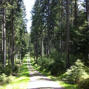 Wanderrouten Schwarzwald - Wellnessweg Waldachtal