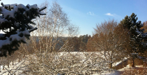 Kurzurlaub Schwarzwald Relaxtage im Hotel Waldachtal bei Freudenstadt